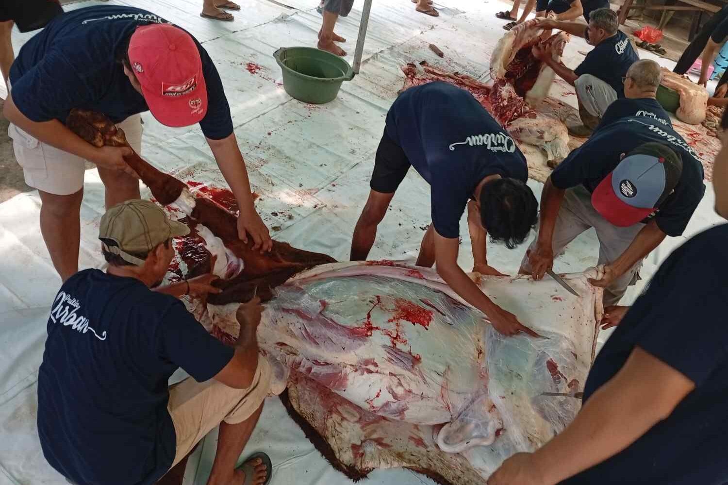 SalinanIMG_20250606_083331