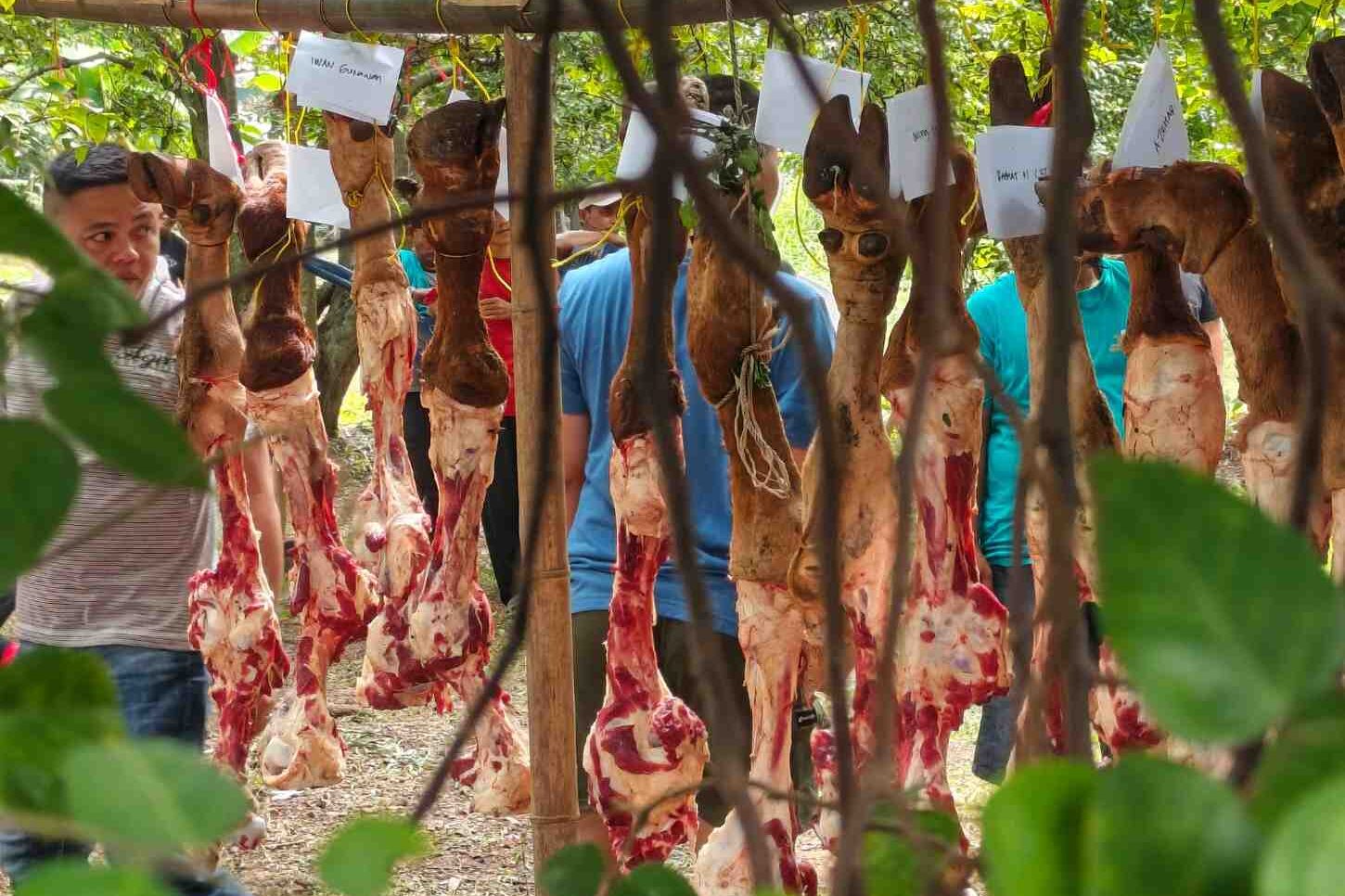 SalinanIMG_20250606_134741_518